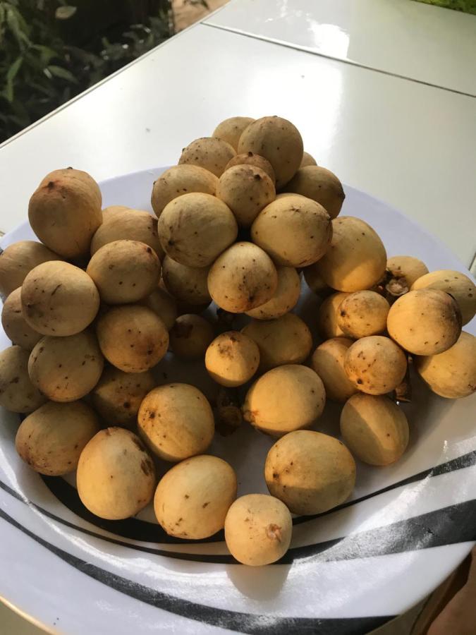 Camiguin Kalimba De Luna Inn Mambajao Eksteriør billede
